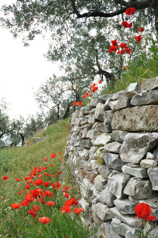 Agriturismo "Antico Frantoio" Foligno Exterior foto